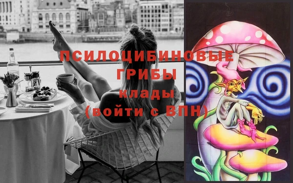 таблы Богданович