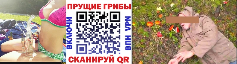 цена наркотик  Егорьевск  мориарти формула  Псилоцибиновые грибы MAGIC MUSHROOMS 